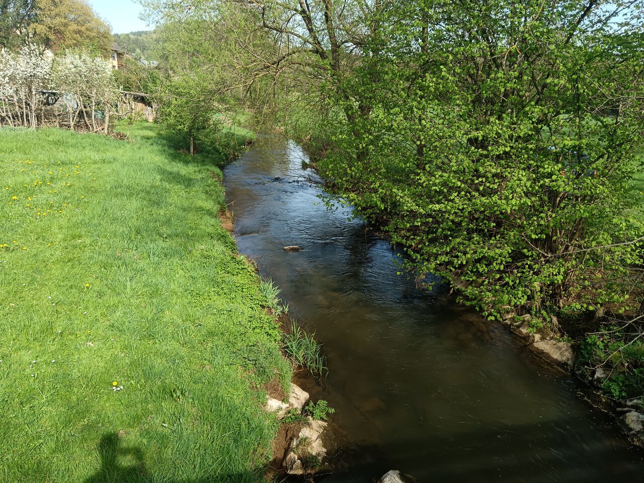 Río Pegnitz en Pegnitz