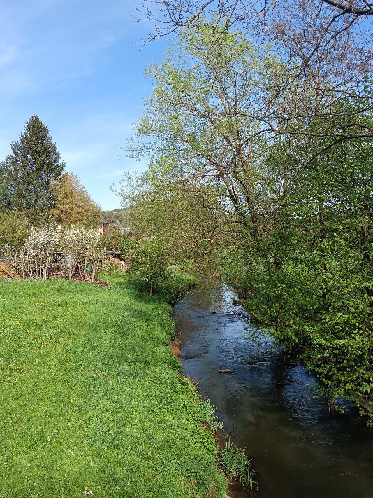 Río Pegnitz en Pegnitz