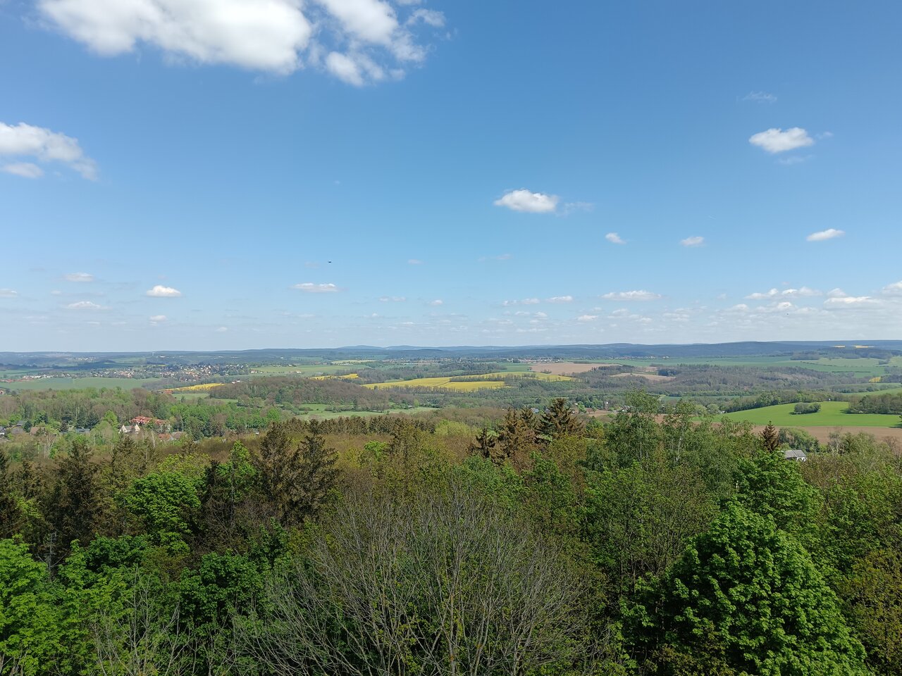 plauen