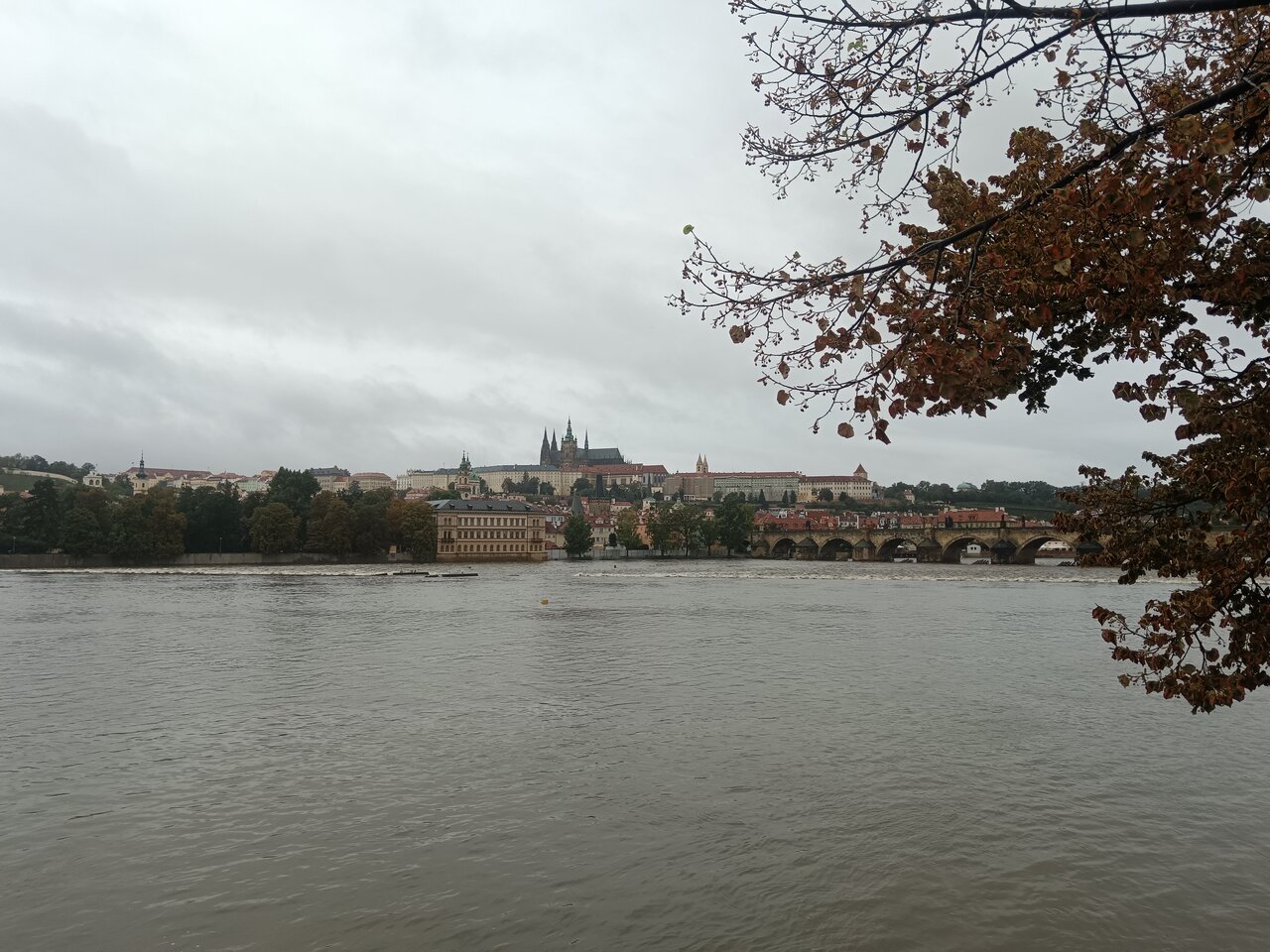 A Moldva folyó 