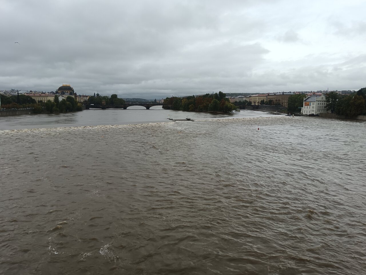 A Moldva folyó 