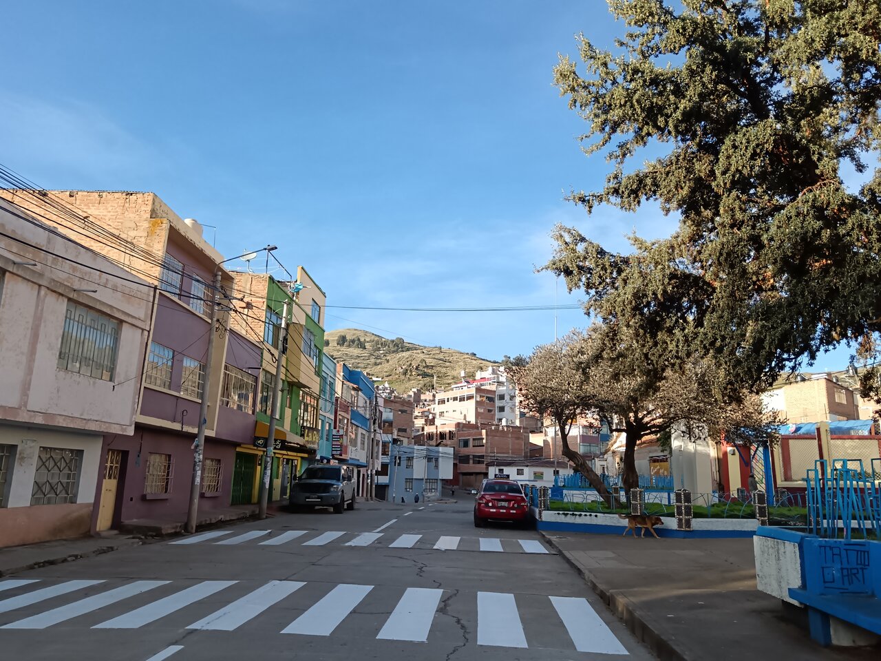 puno