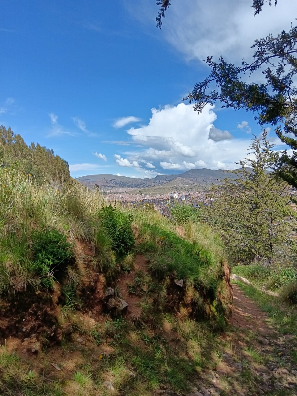 puno