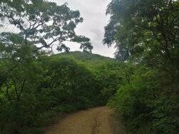Salta