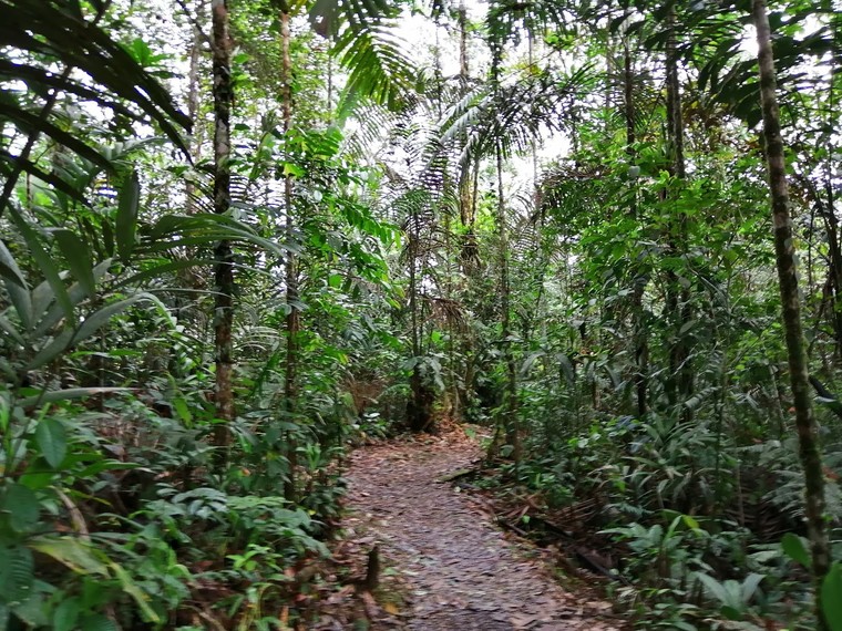 San Cipriano, Colombia
