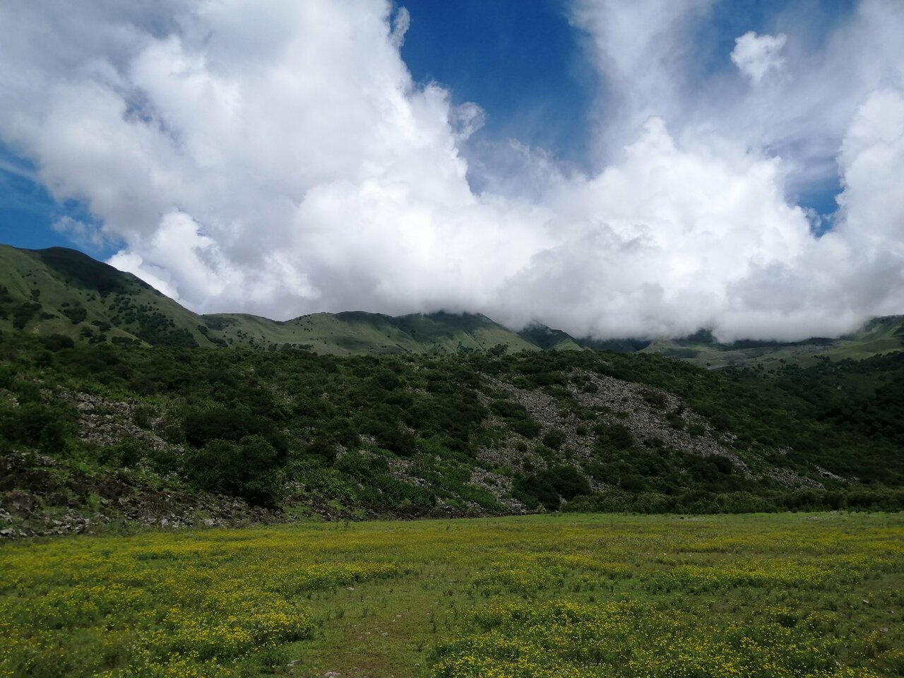 Yala völgye