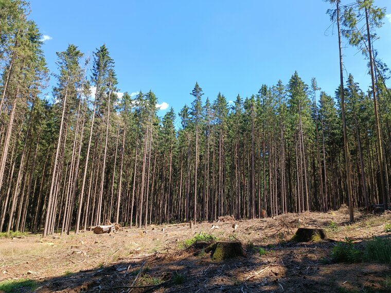 Schwarzbach an der Saale