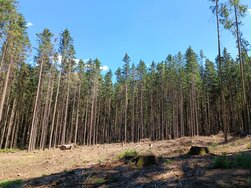 Schwarzbach an der Saale