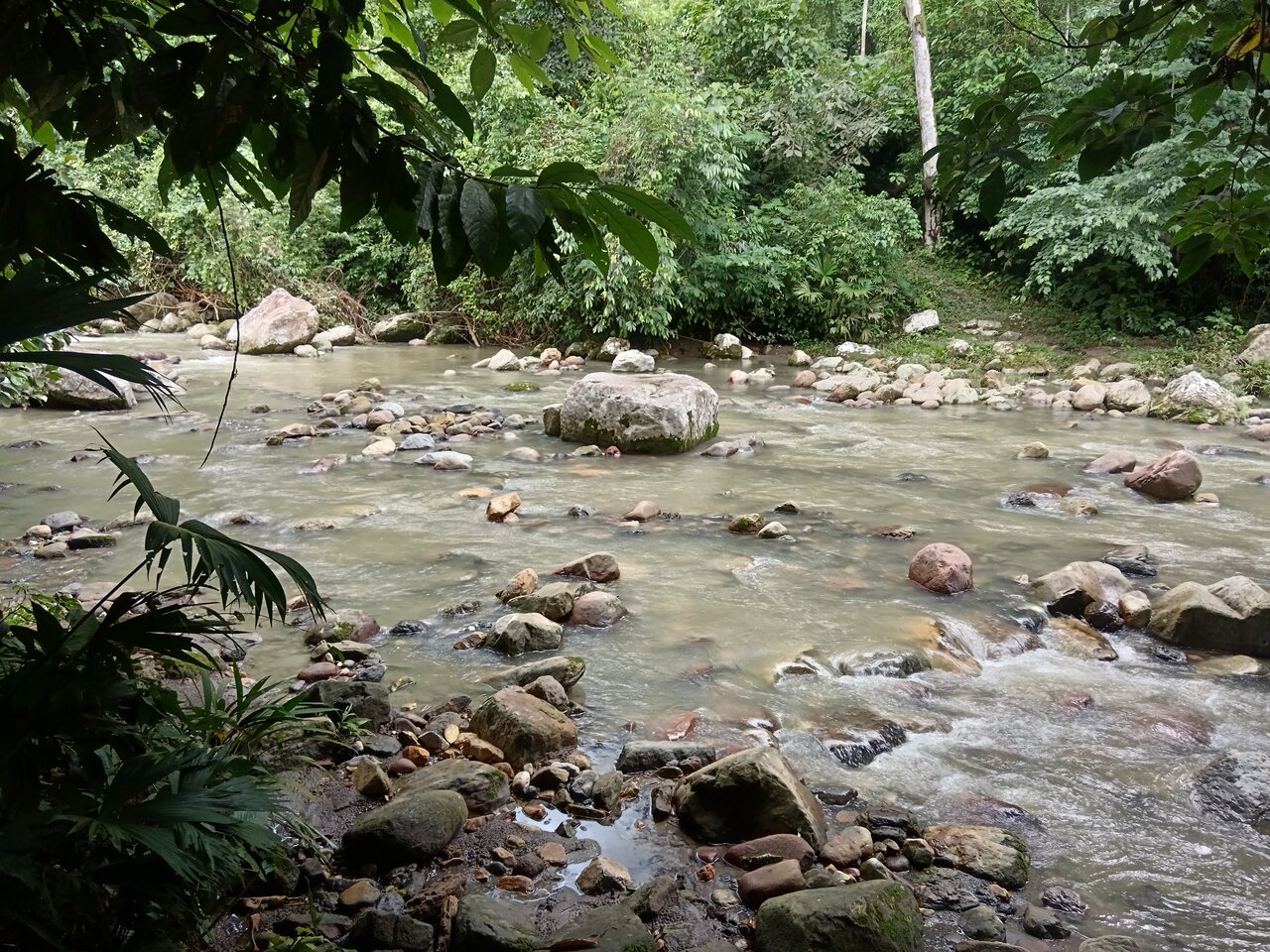 shilcayo
