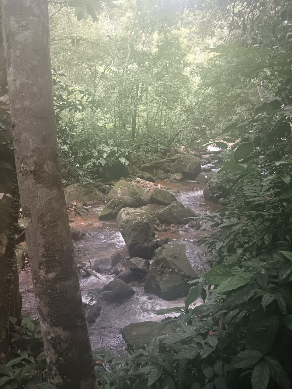 shilcayo