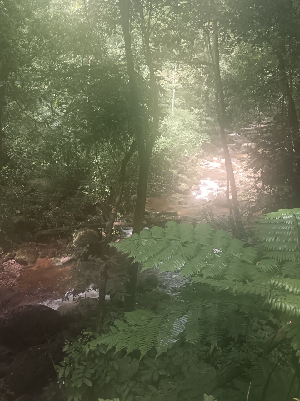 shilcayo