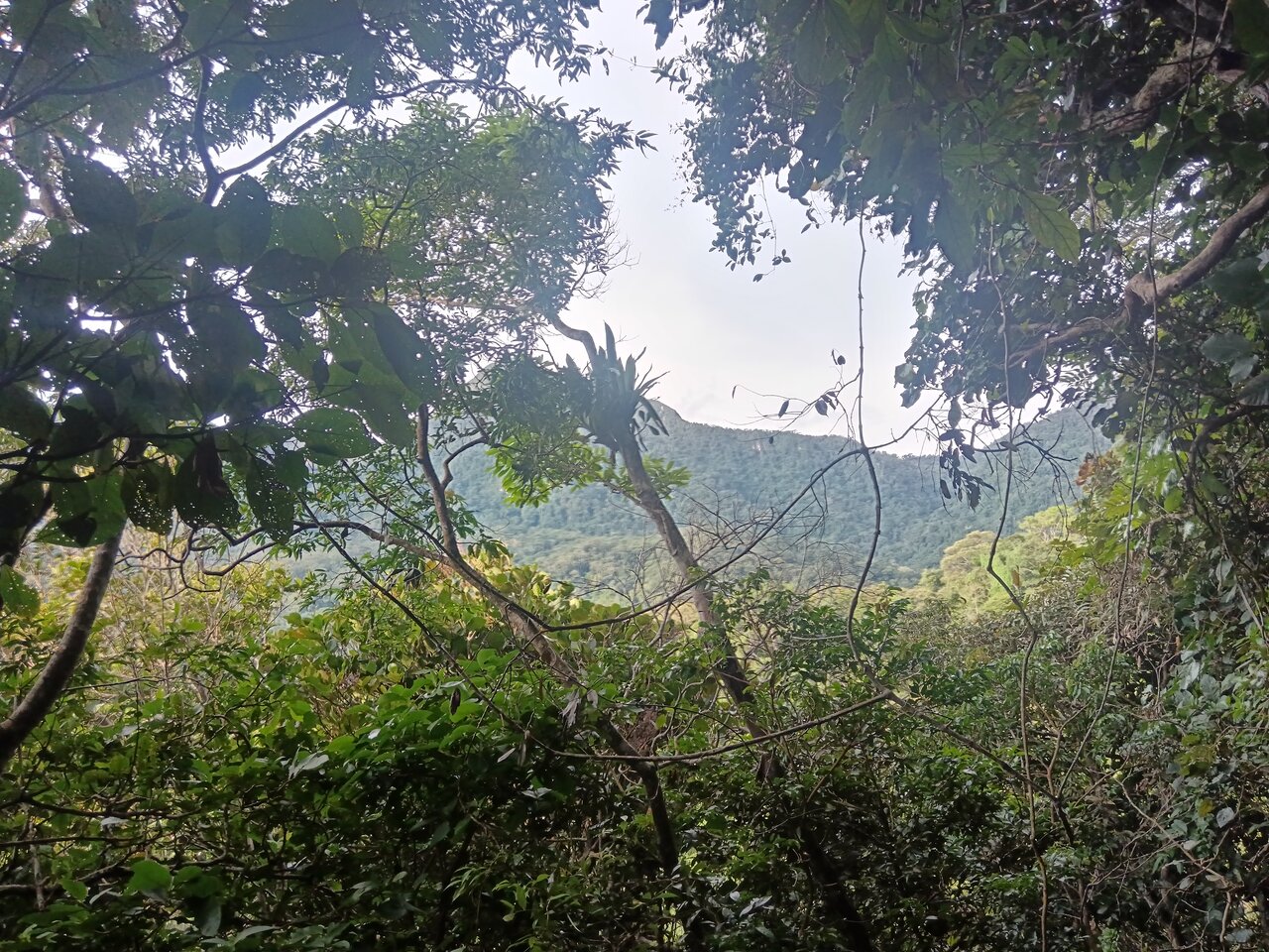 shilcayo
