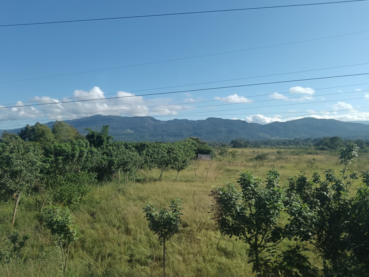 tarapoto
