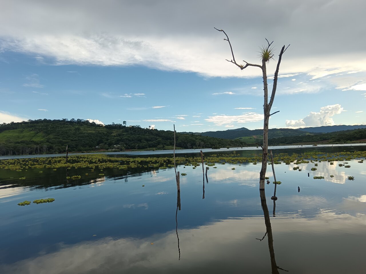 tarapoto