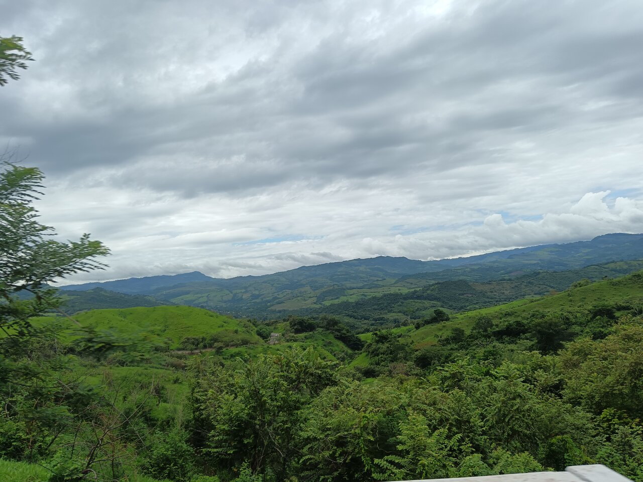 tarapoto