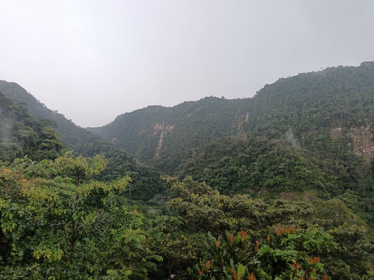 tarapoto