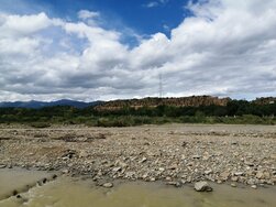 Tarija