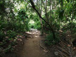 Tayrona
