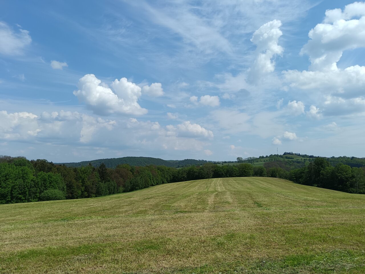tharandt