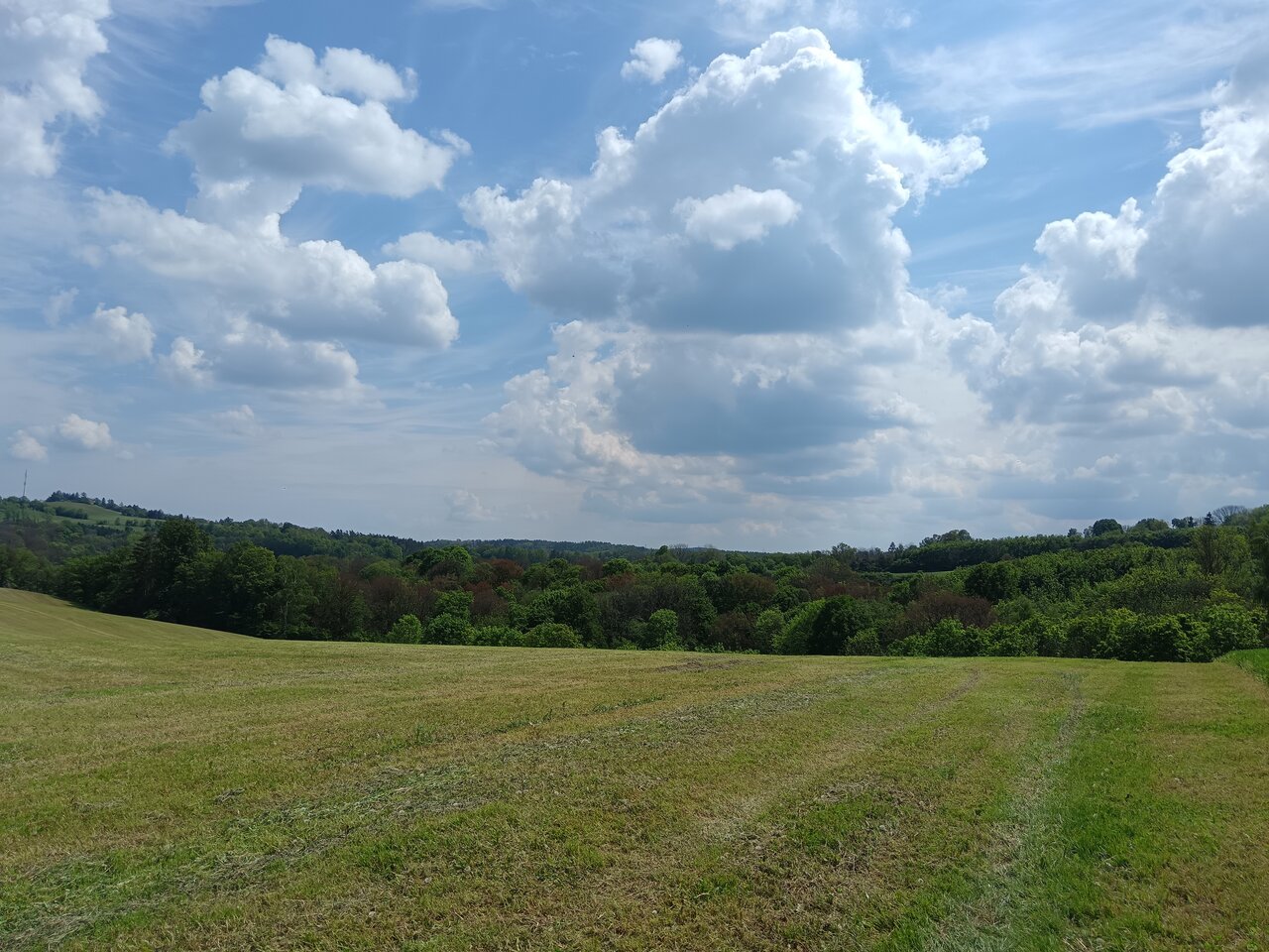 tharandt