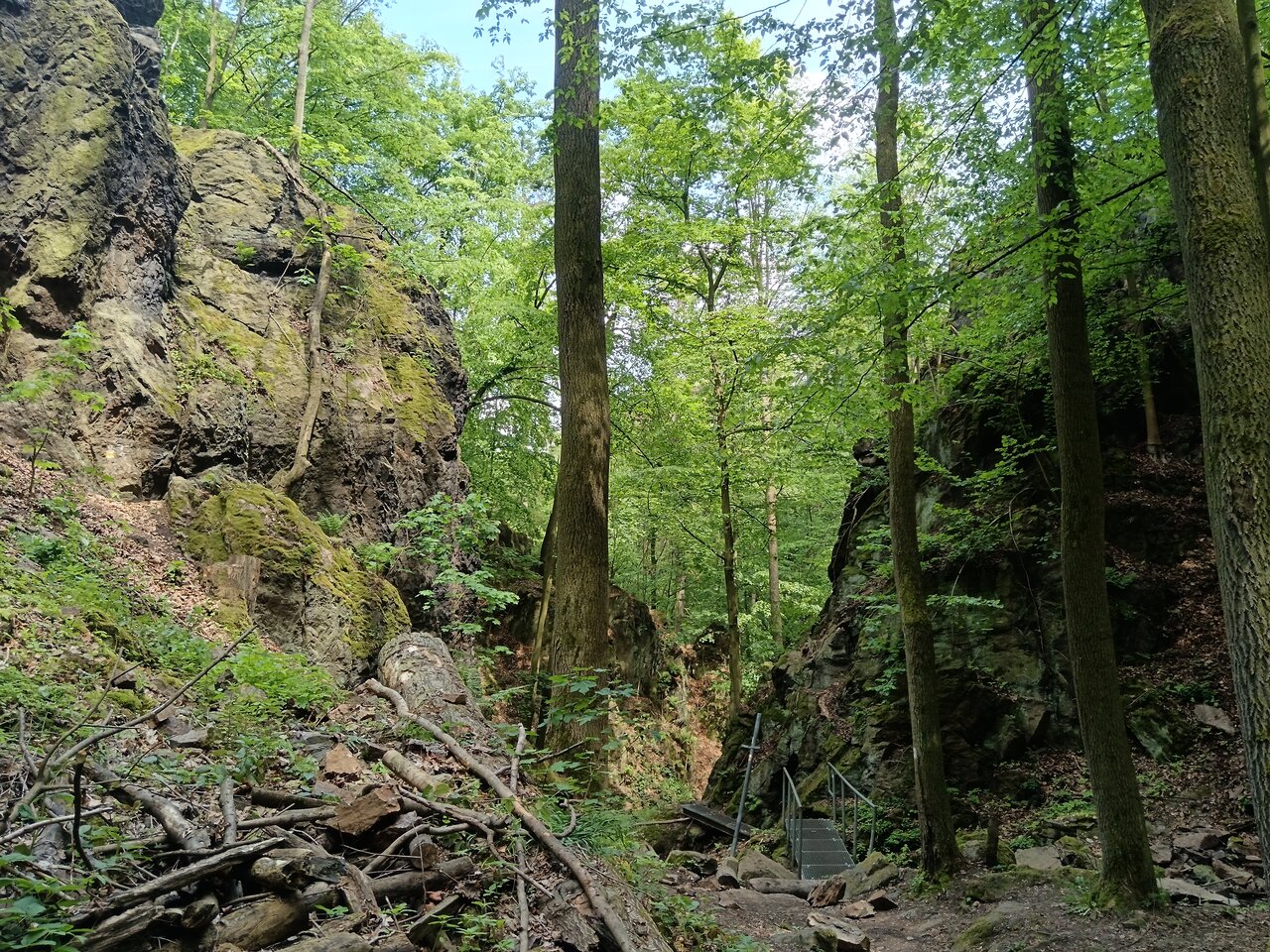 tharandt