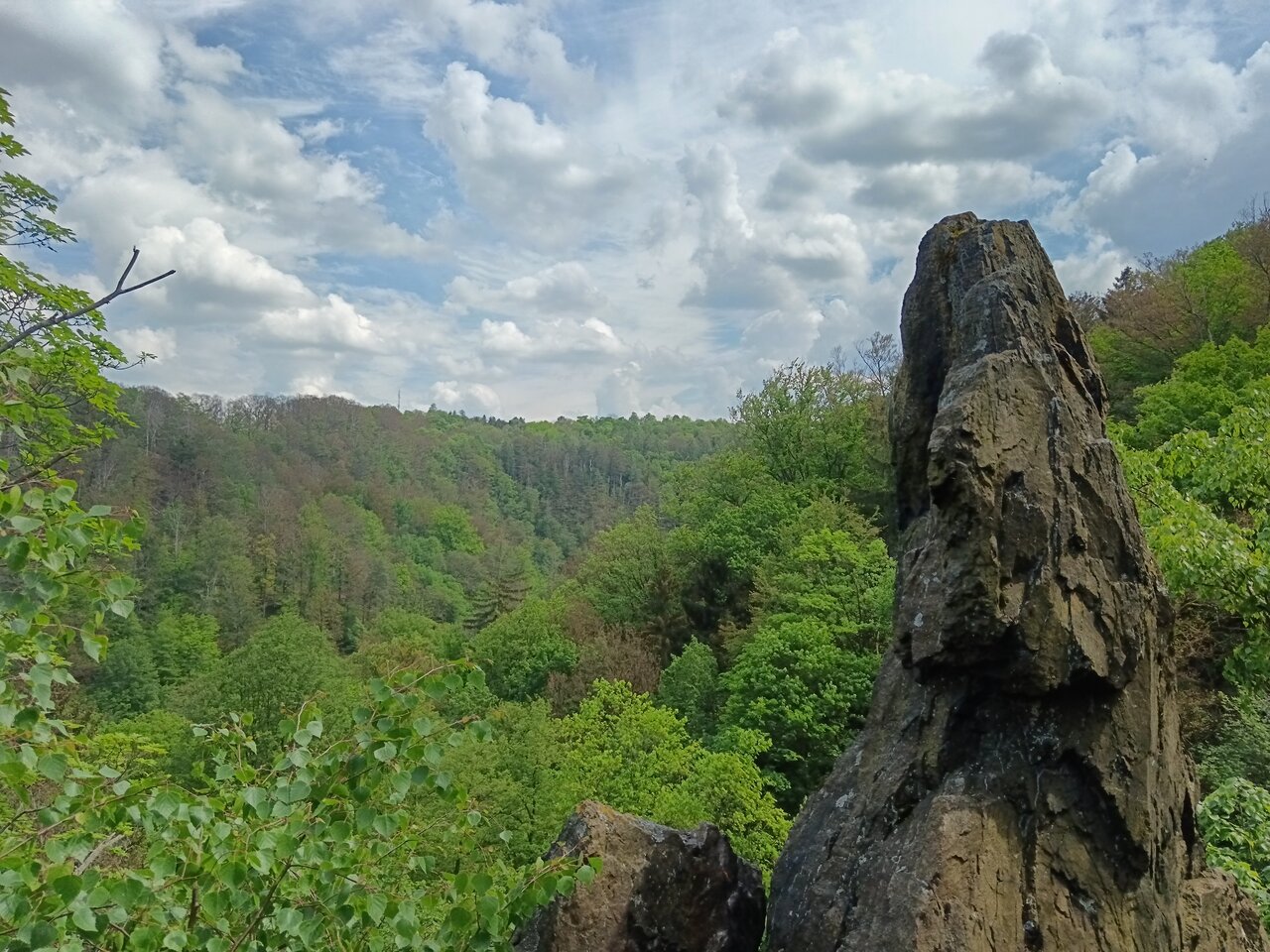 tharandt