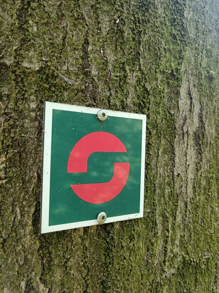 tharandt