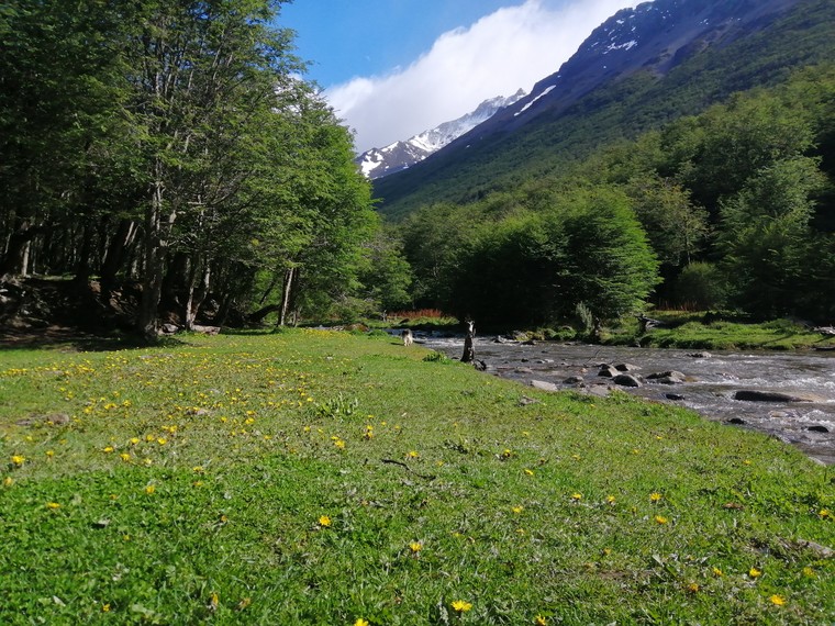 Ushuaia, Tierra del Fuego, Argentina