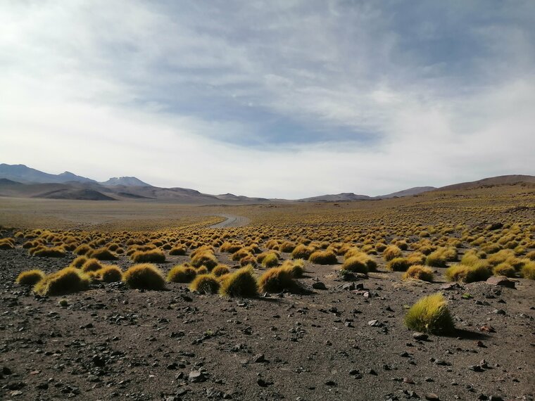 Salar de Uyuni, Bolivia