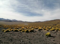 Uyuni
