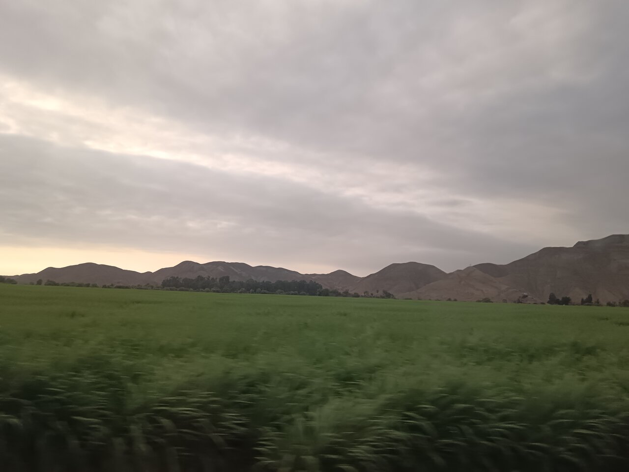 view_from_the_bus