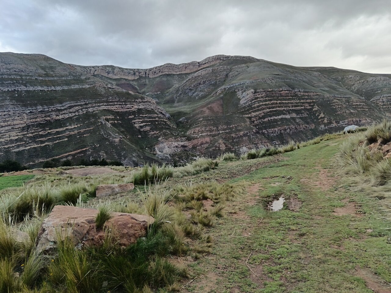 view_from_the_bus