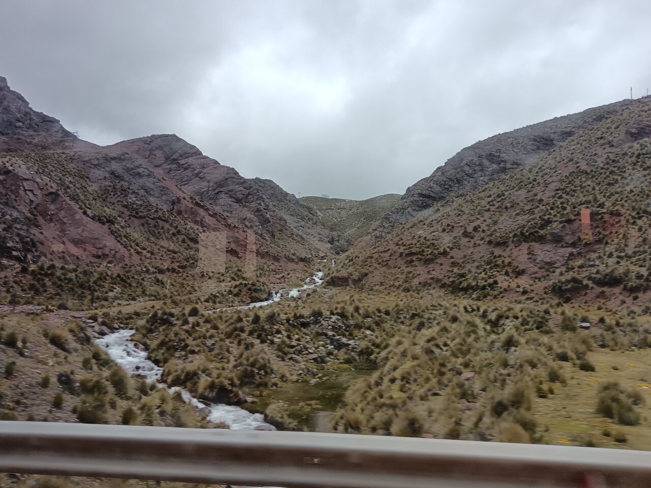 view_from_the_bus