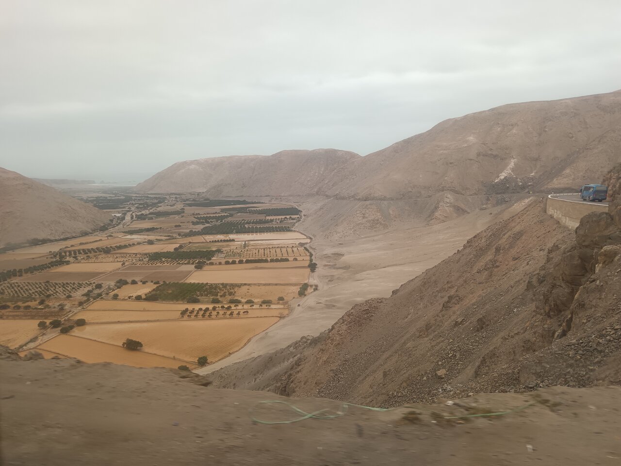 view_from_the_bus