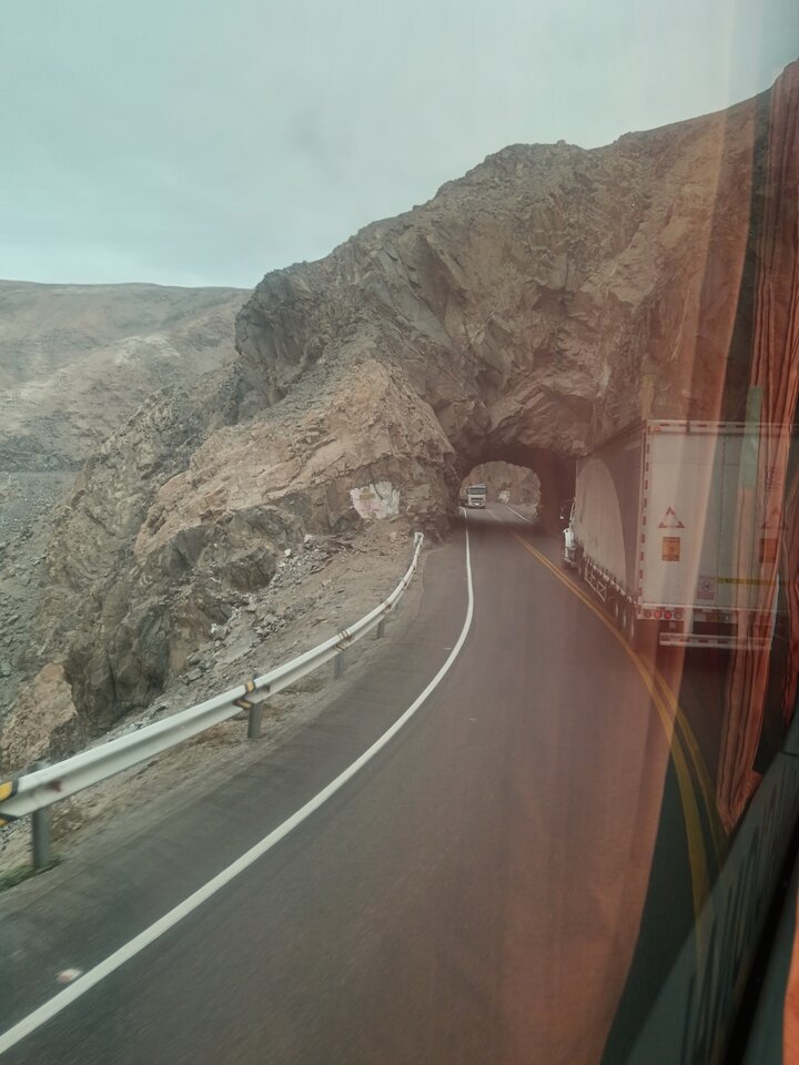 view_from_the_bus