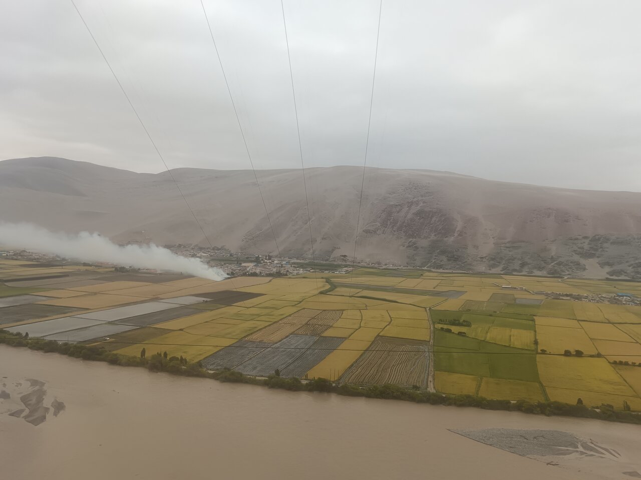 view_from_the_bus