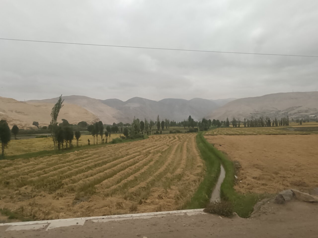 view_from_the_bus