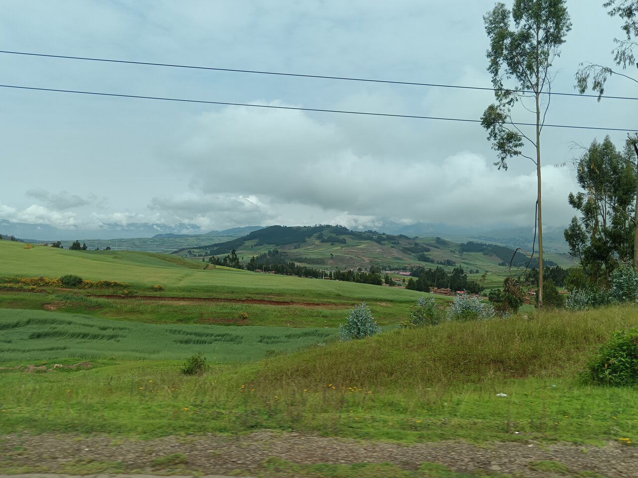 view_from_the_bus