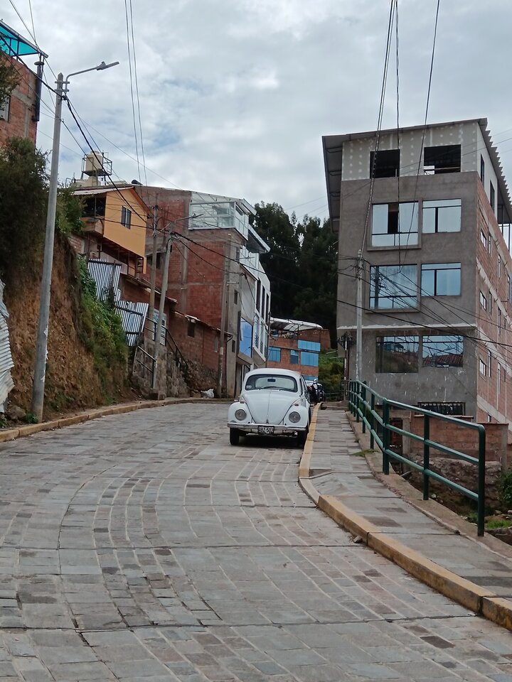 vwbeetle
