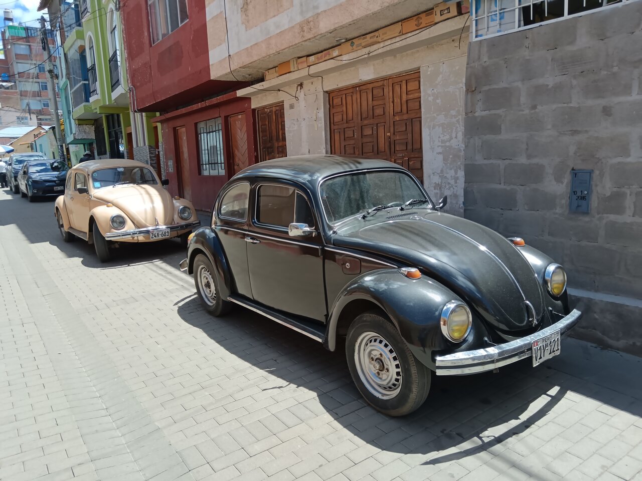 vwbeetle