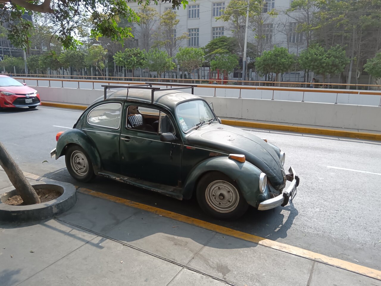 vwbeetle