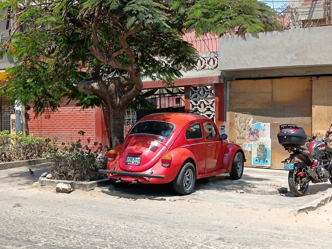 vwbeetle
